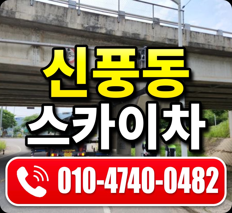 신풍동 스카이차 010-4740-0482