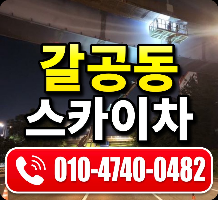 갈공동 스카이차 010-4740-0482
