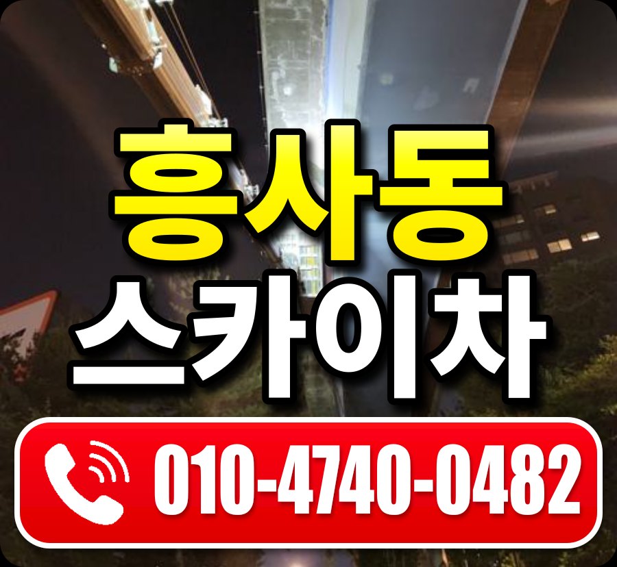 흥사동 스카이차 010-4740-0482