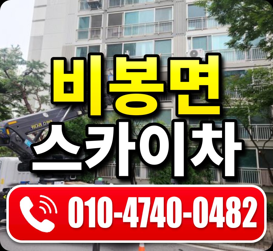 비봉면 스카이차 010-4740-0482