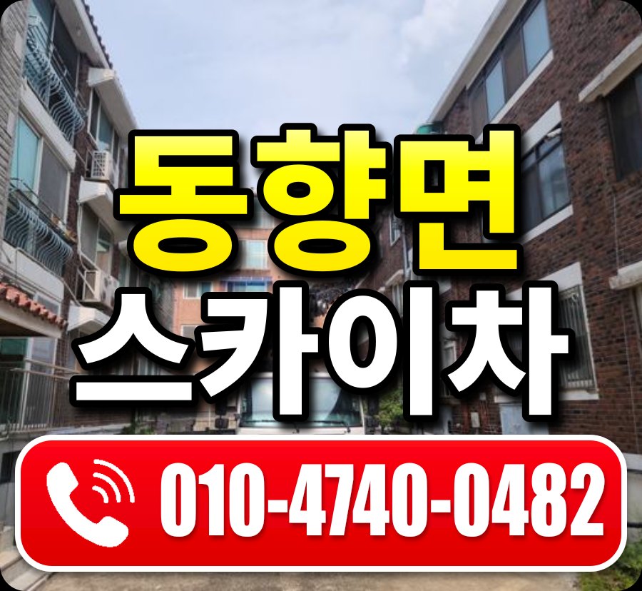 동향면 스카이차 010-4740-0482