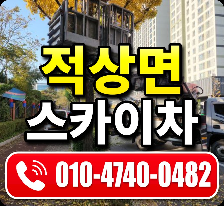 적상면 스카이차 010-4740-0482
