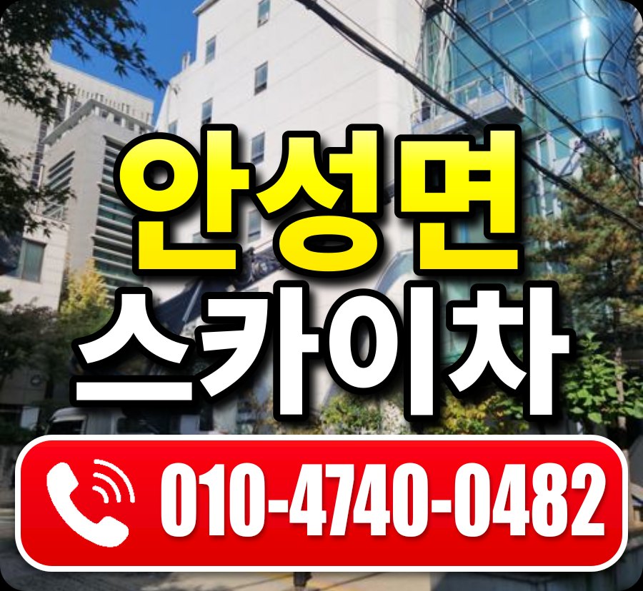 안성면 스카이차 010-4740-0482