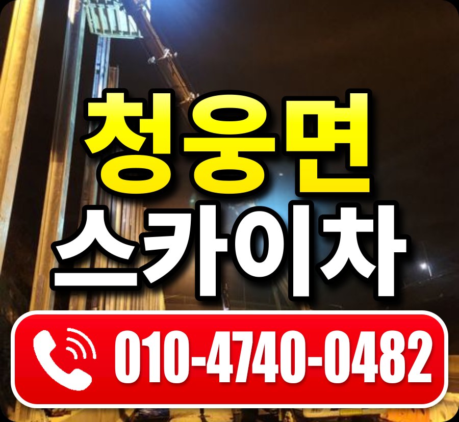 청웅면 스카이차 010-4740-0482