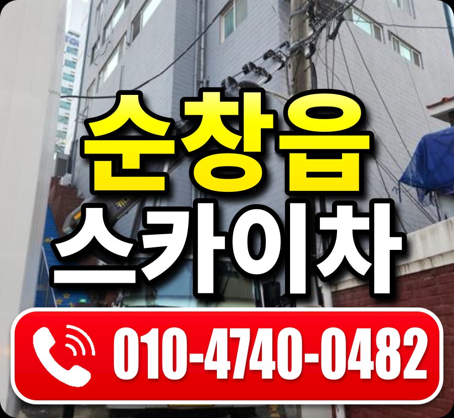 순창읍 스카이차 010-4740-0482