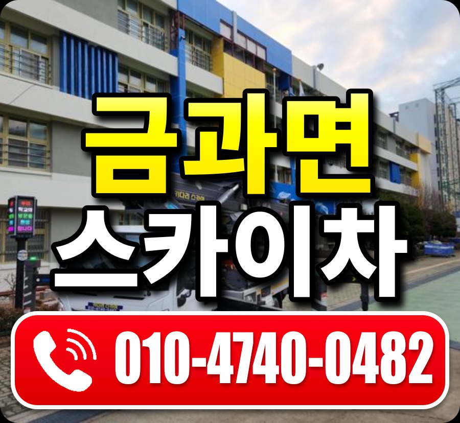 금과면 스카이차 010-4740-0482