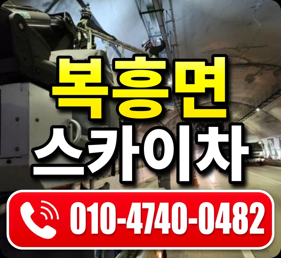 복흥면 스카이차 010-4740-0482