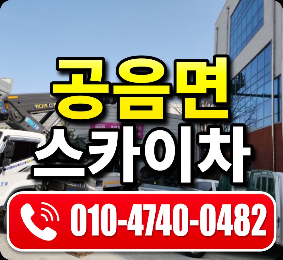 공음면 스카이차 010-4740-0482