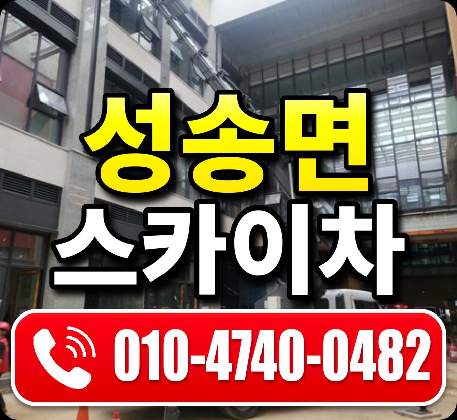 성송면 스카이차 010-4740-0482