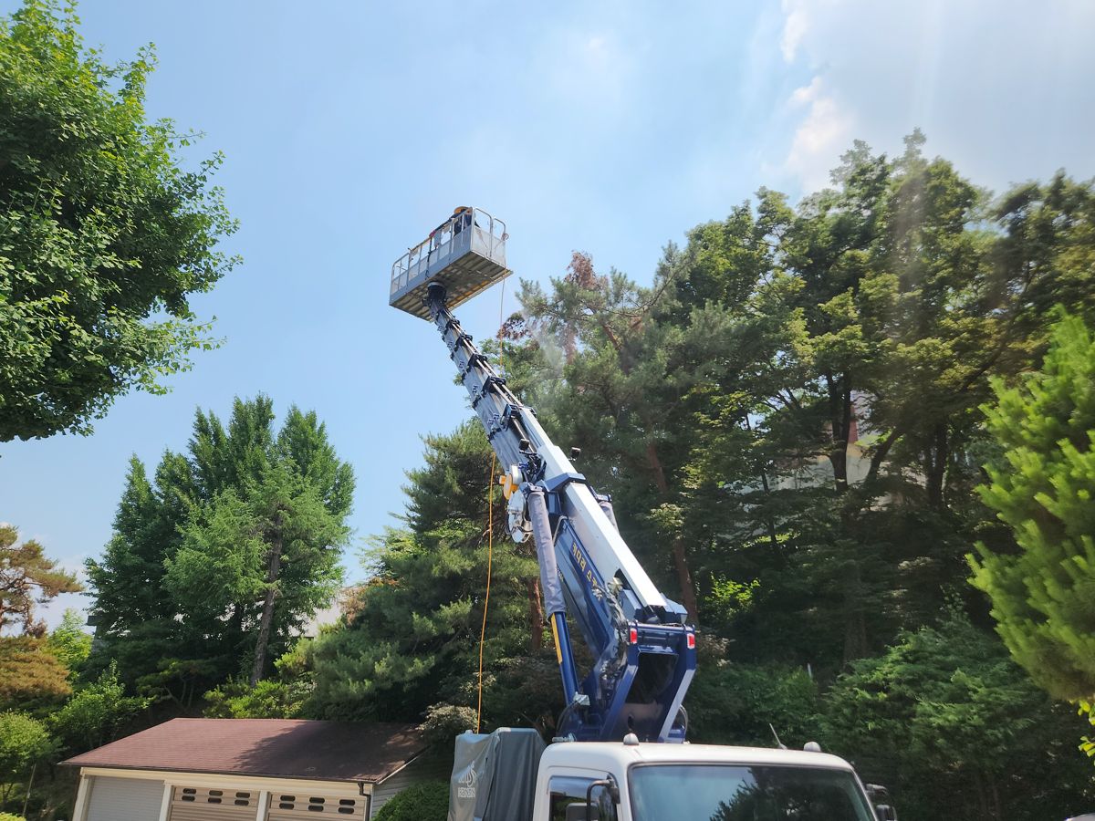 스카이차·고소작업차 실제 작업 현장 2