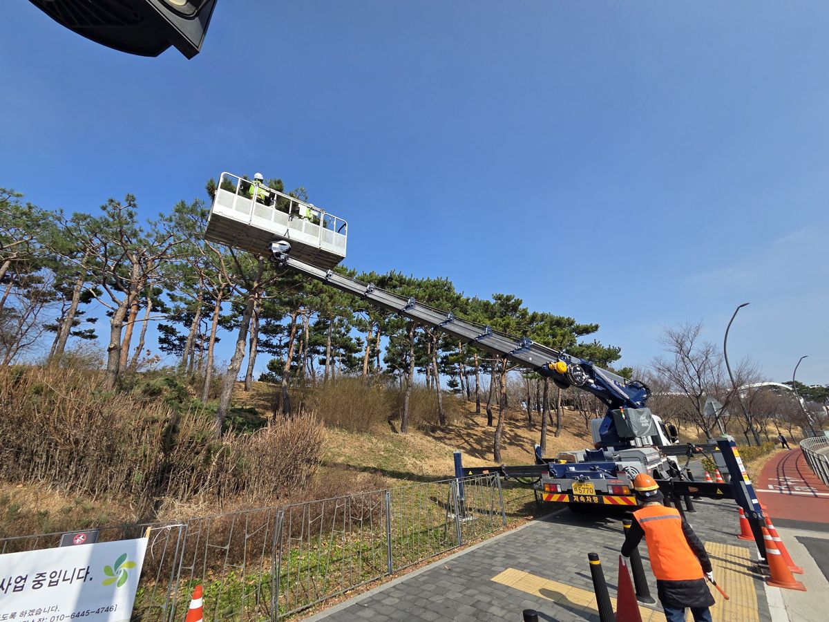 스카이차·고소작업차 실제 작업 현장 6
